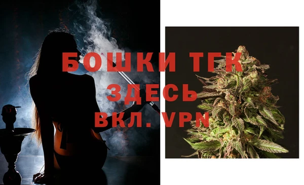 сатива Верхний Тагил