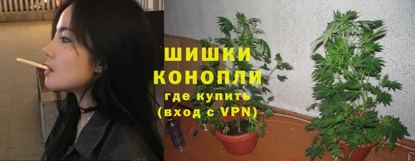 сатива Верхний Тагил