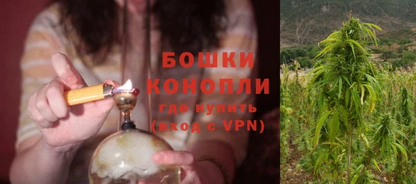 сатива Верхний Тагил