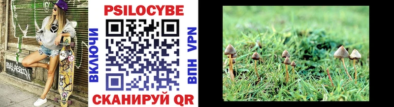 Купить где  Нижняя Салда  Псилоцибиновые грибы Psilocybe 